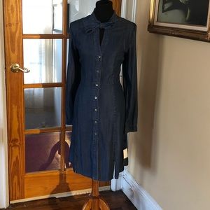 Tommy Hilfiger Denim Dress
